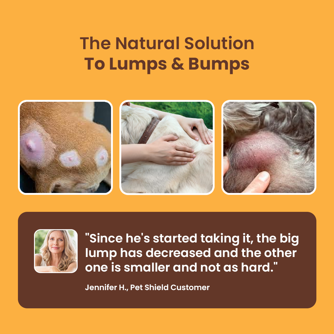 Organic Mushroom Blend for Immune Support For Dogs/Cats With Lumps And Bumps