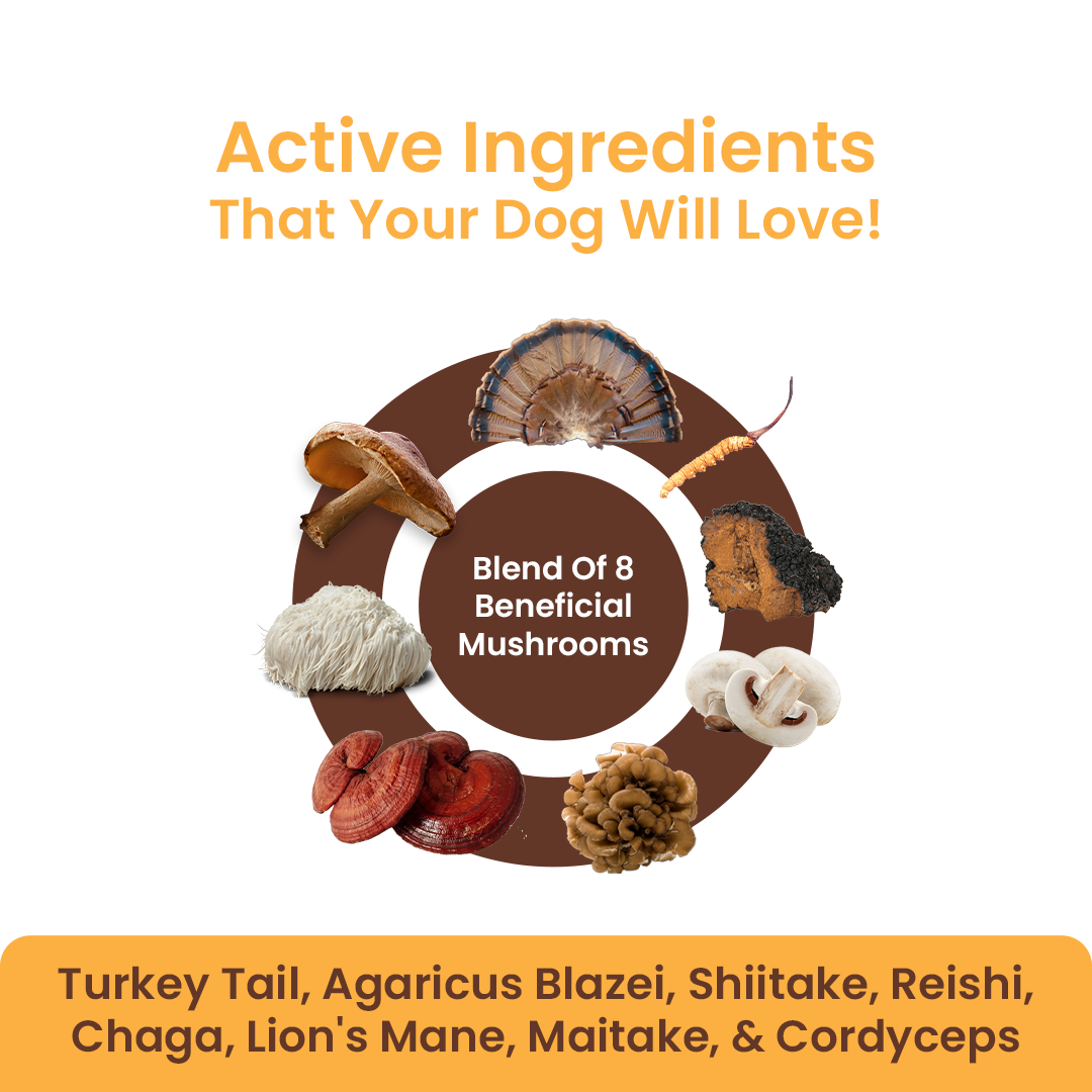 Organic Mushroom Blend for Immune Support For Dogs/Cats With Lumps And Bumps